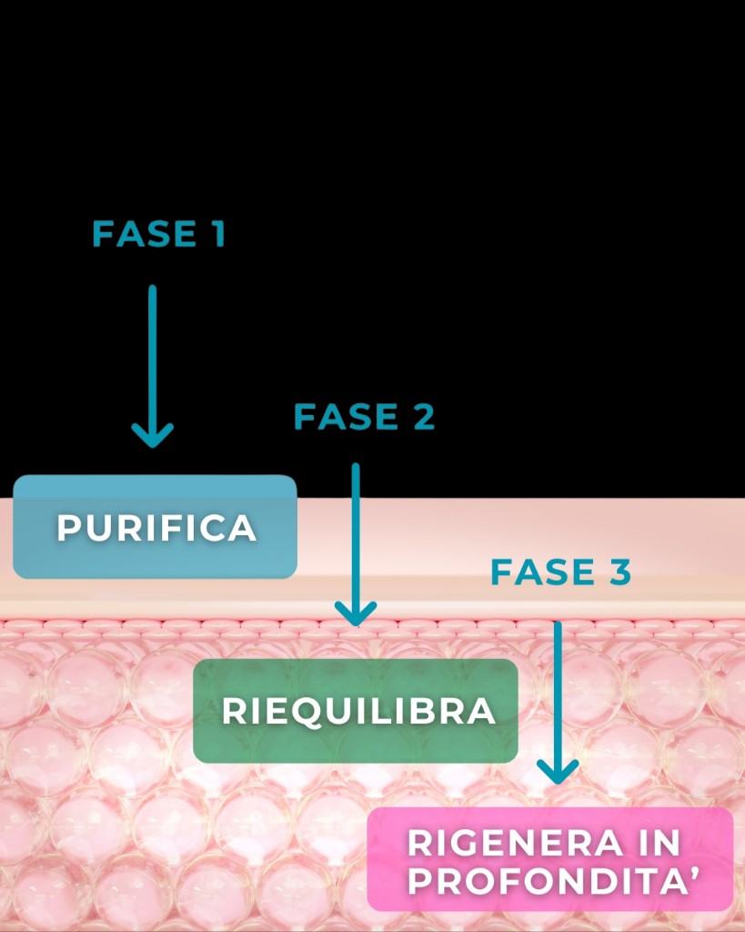 Le 3 fasi Skin Perfect: purifica, riequilibra, rigenera in profondità